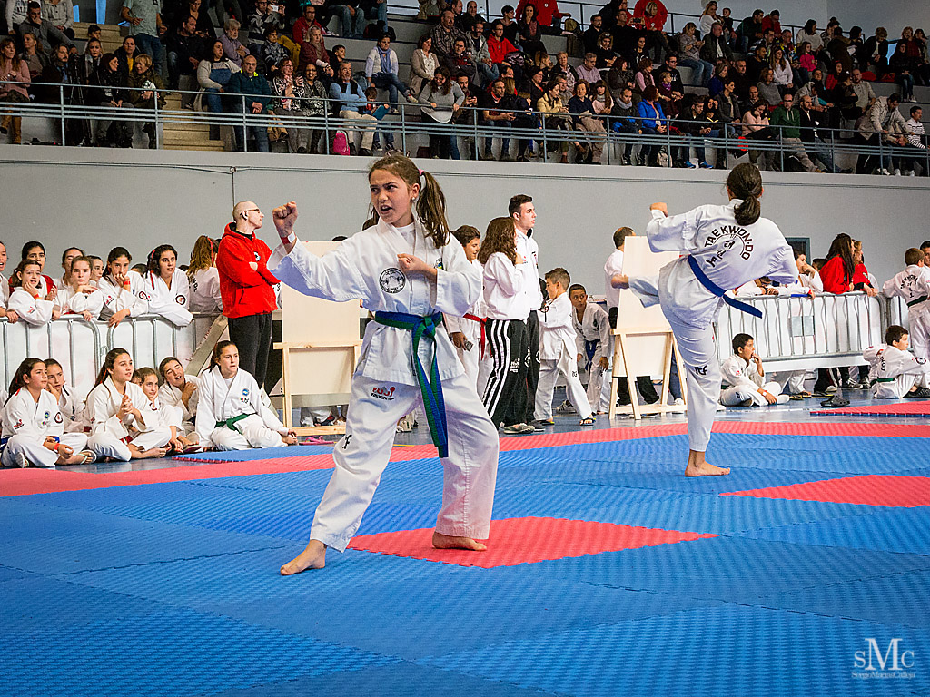 COPA SEUL, 2017  (46).JPG